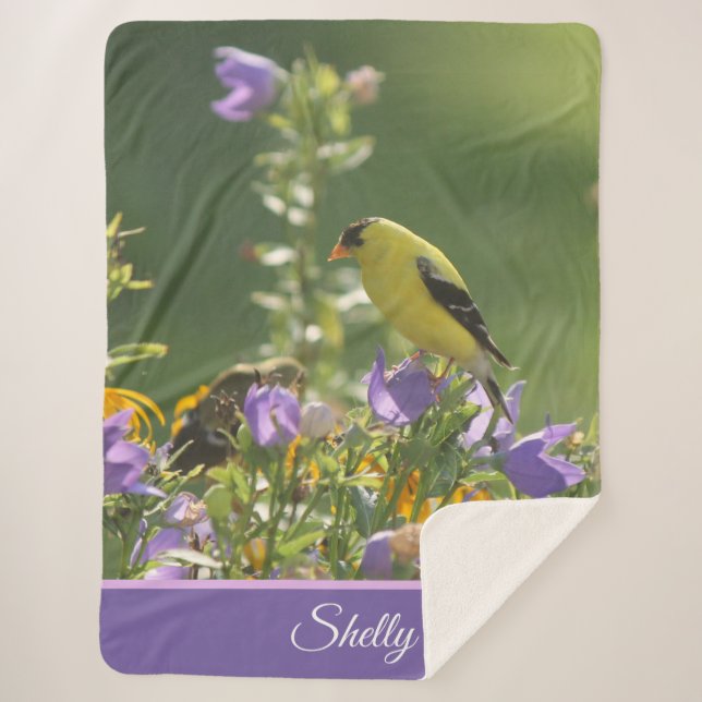 Goldfinch on a Harebell Flower   Sherpa Blanket (Front)