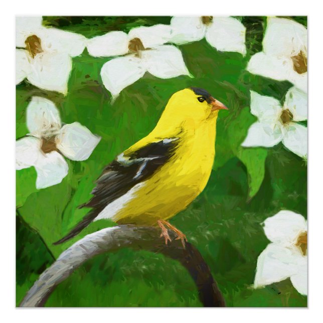 Goldfinch Painting - Cute Original Dog Art Poster (Front)