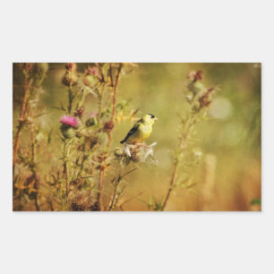 Goldfinch Photo Sticker