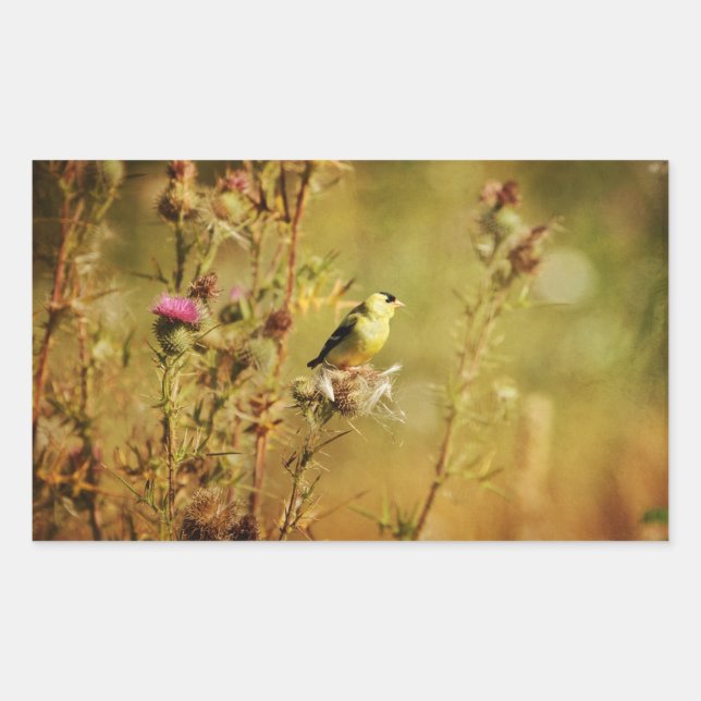 Goldfinch Photo Sticker (Front)