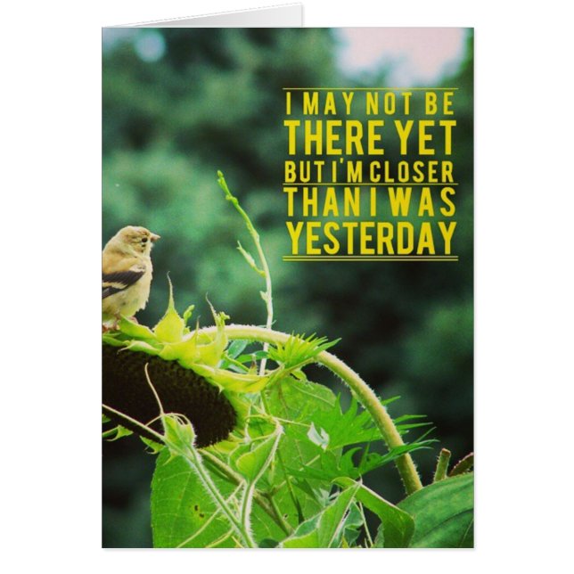 Goldfinch Plus Près Que J'Étais Hier (Devant)