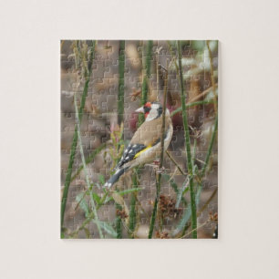 Goldfinch Puzzle