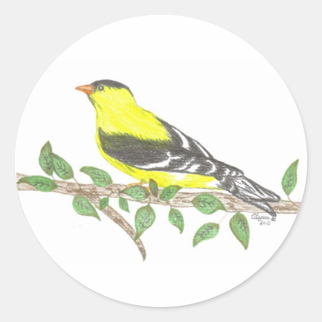 Goldfinch Sticker (Front)