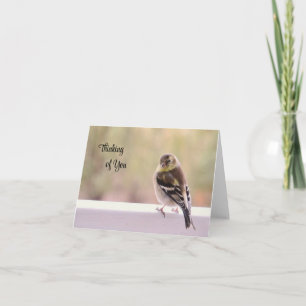 Goldfinch - Thinking of You Card