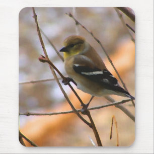 Goldfinch Watercolor Mouse Pad