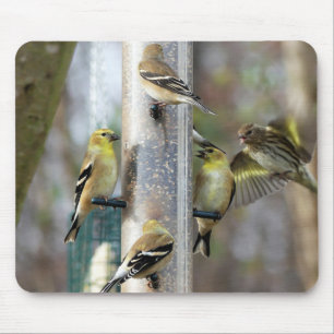 Goldfinches at the Feeder Mouse Pad