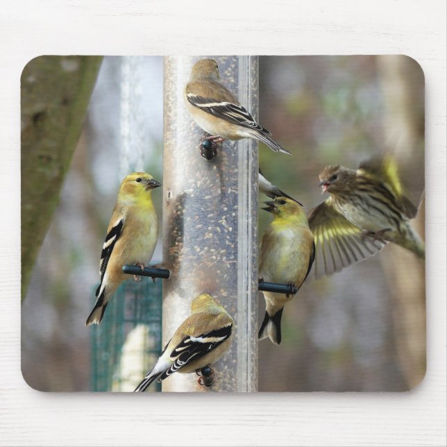 Goldfinches at the Feeder Mouse Pad (Front)