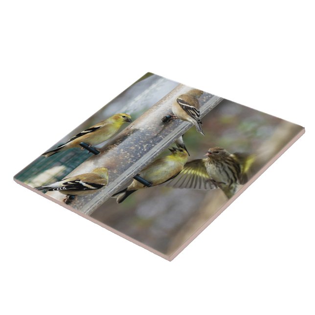 Goldfinches at the Feeder Tile (Side)