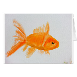 Goldfish