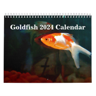Goldfish 2025 calendar
