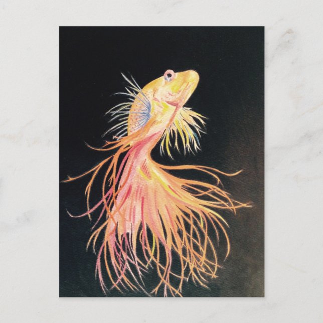 Goldfish (2).jpg postcard (Front)