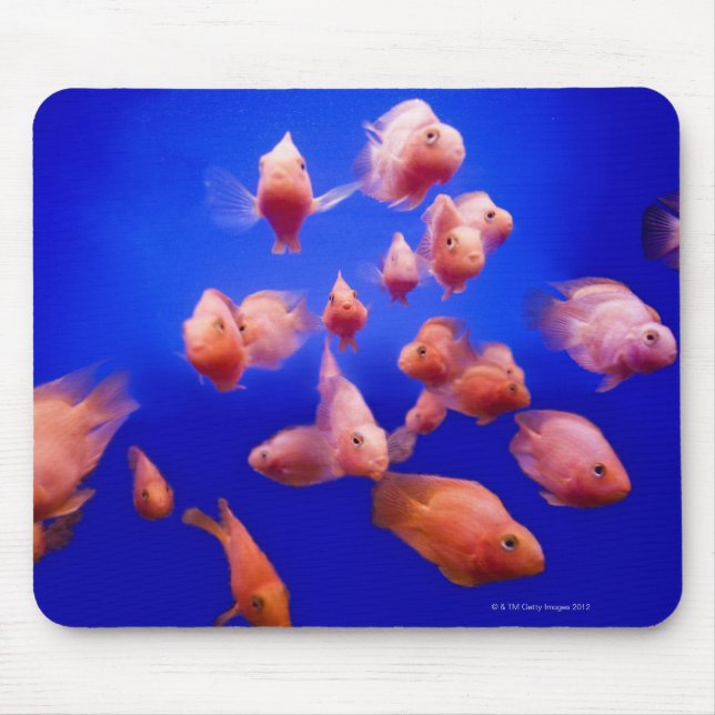 Goldfish 2 mouse pad (Front)