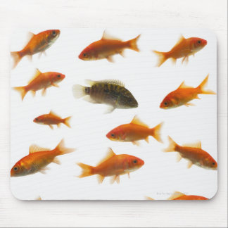 Goldfish 3 mouse pad