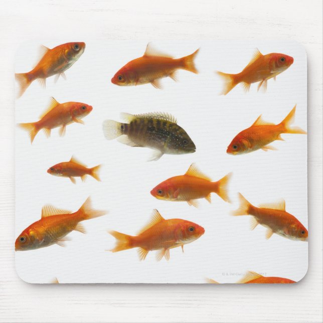 Goldfish 3 mouse pad (Front)