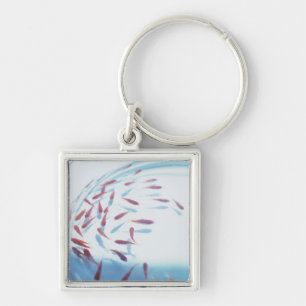 Goldfish 6 keychain