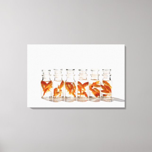 Goldfish 7 canvas print (Front)