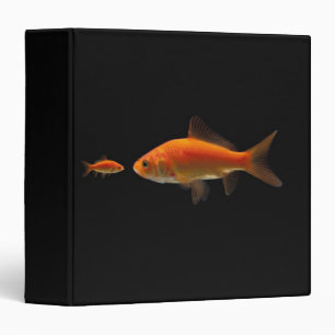Goldfish Binder