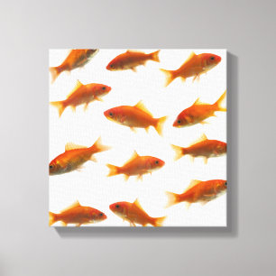 Goldfish Canvas Print