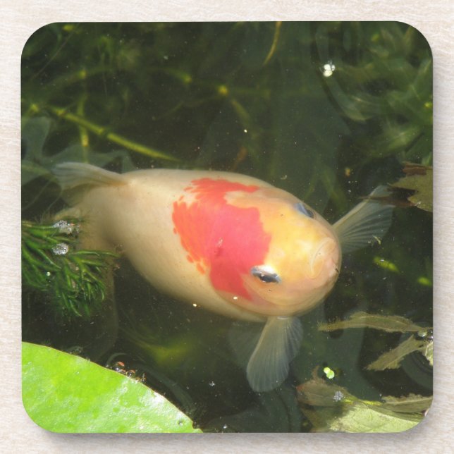 Goldfish Cork Coaster (Front)
