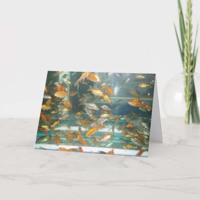 "Goldfish" Get Well Card (Front)