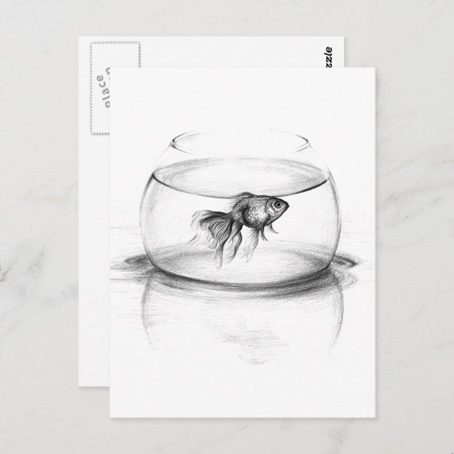 Goldfish in bowl and water Pencil drawing art Postcard (Front/Back)