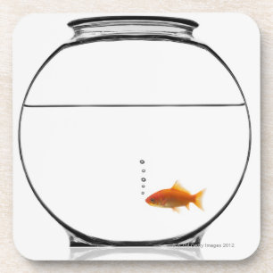 Goldfish in bowl coaster