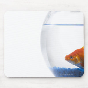 Goldfish in bowl on white background mouse pad