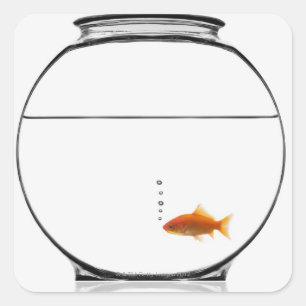 Goldfish in bowl square sticker