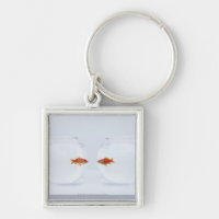 Goldfish in separate fishbowls looking face to fac