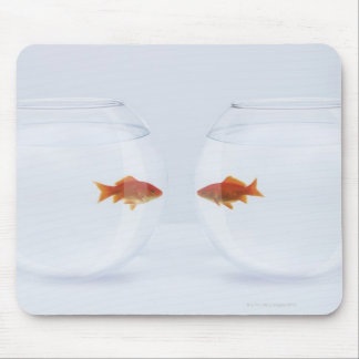 Goldfish in separate fishbowls looking face to fac mouse pad
