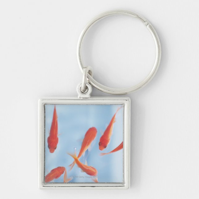 Goldfish Keychain (Front)