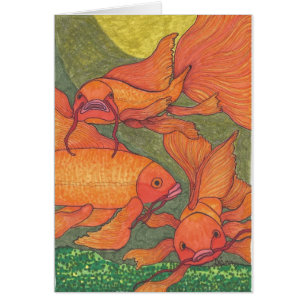 Goldfish - Koi