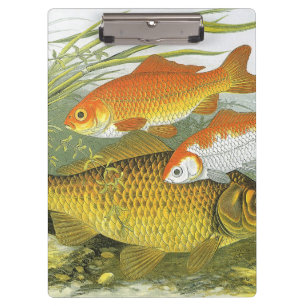 Goldfish Koi Fish, Vintage Marine Aquatic Sea Life Clipboard