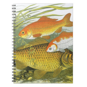 Goldfish Koi Fish, Vintage Marine Aquatic Sea Life Notebook