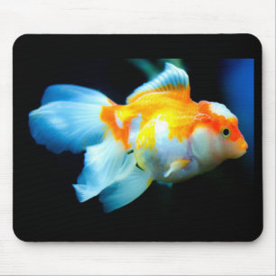 Goldfish Mouse Pad