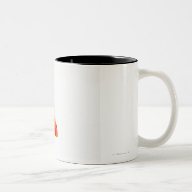 Goldfish, overhead view Two-Tone coffee mug (Right)