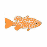 Goldfish Photo Sculpture Ornament<br><div class="desc">An acrylic goldfish ornament</div>