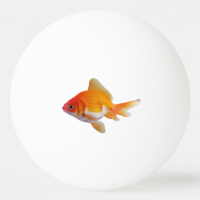 Goldfish Pingpong Ball (Front)