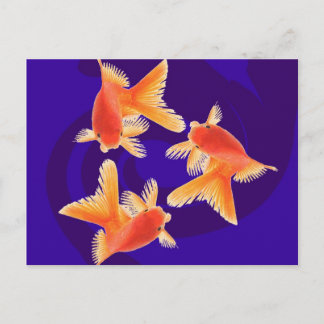 Goldfish Postcard