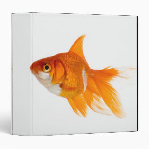 Goldfish, side view binder