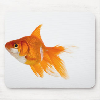 Goldfish, side view mouse pad
