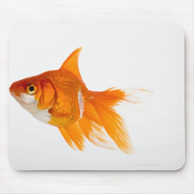 Goldfish, side view mouse pad (Front)