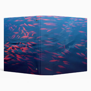 Goldfish Swimming in Still Pond Binder
