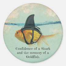 Goldfish with a Shark Fin Confetti