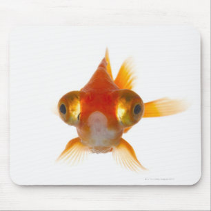 Goldfish with Big eyes 2 Mouse Pad