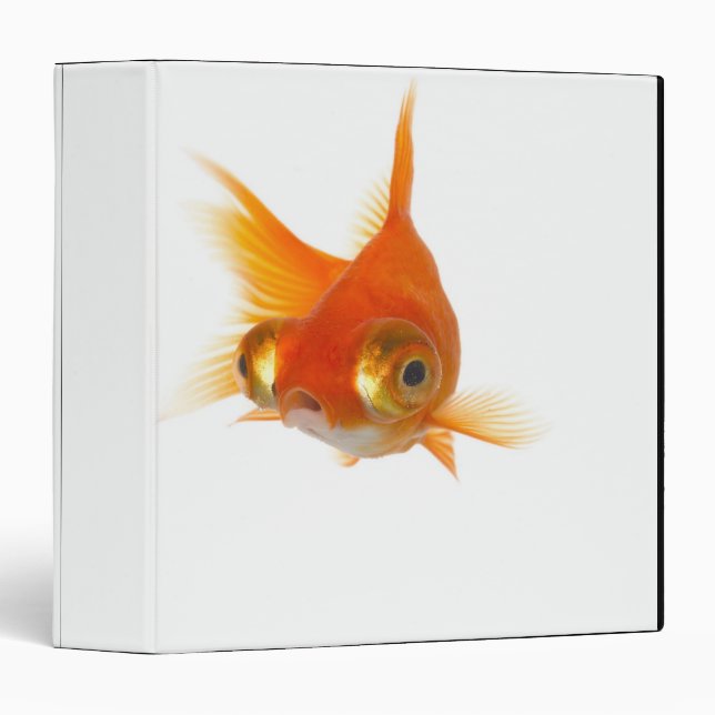 Goldfish with Big eyes Binder (Front/Spine)