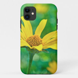 Goldie iPhone 11 Case