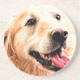 Goldie Coaster