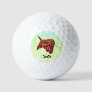 Goldie Golden Doodle Colourful Golf Balls