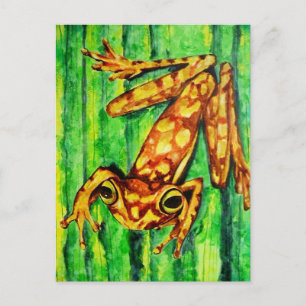 Goldie The Tree Frog Postcards